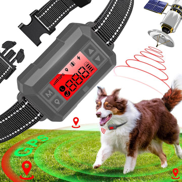 GPS Wireless Dog Fence System – CICPAP 33–999 Yards Rechargeable Electric Dog Boundary Collar, Smart Perimeter Containment System for Medium & Large Dogs, Waterproof for Outdoor Use