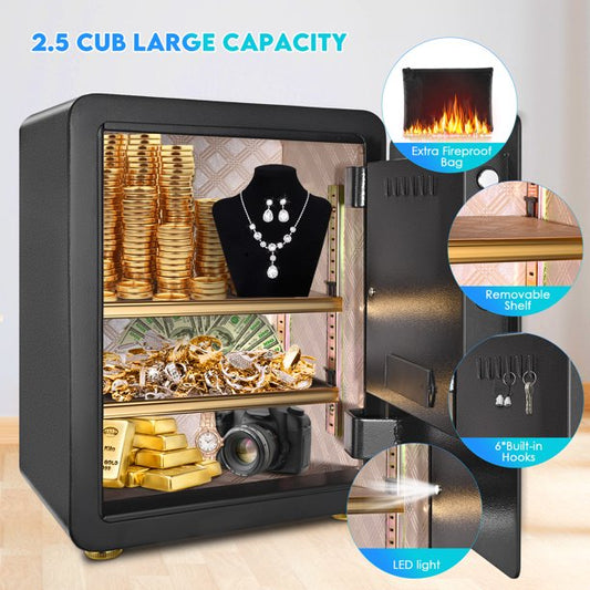 TTLIFE Biometric Safe Home Fireproof Safe 2.5 Cubic feet with HD LCD for Home Office