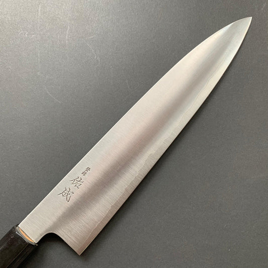 Gyuto knife, SG2 powder steel, migaki finish - Sukenari