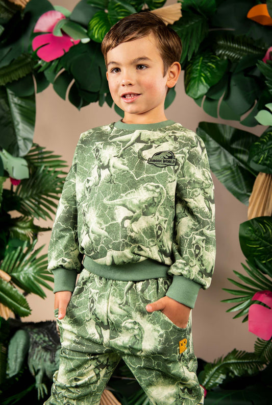 JURASSIC CRACKED SWEATSHIRT